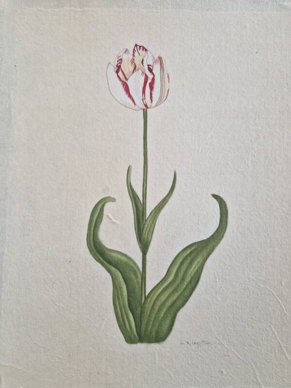 La Roche Laffitte (Born in 1943) - Watercolour drawing on silk - Tulip
