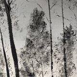 Framed Oil Painting on Canvas by Artist Painter C. M. Ollivierre