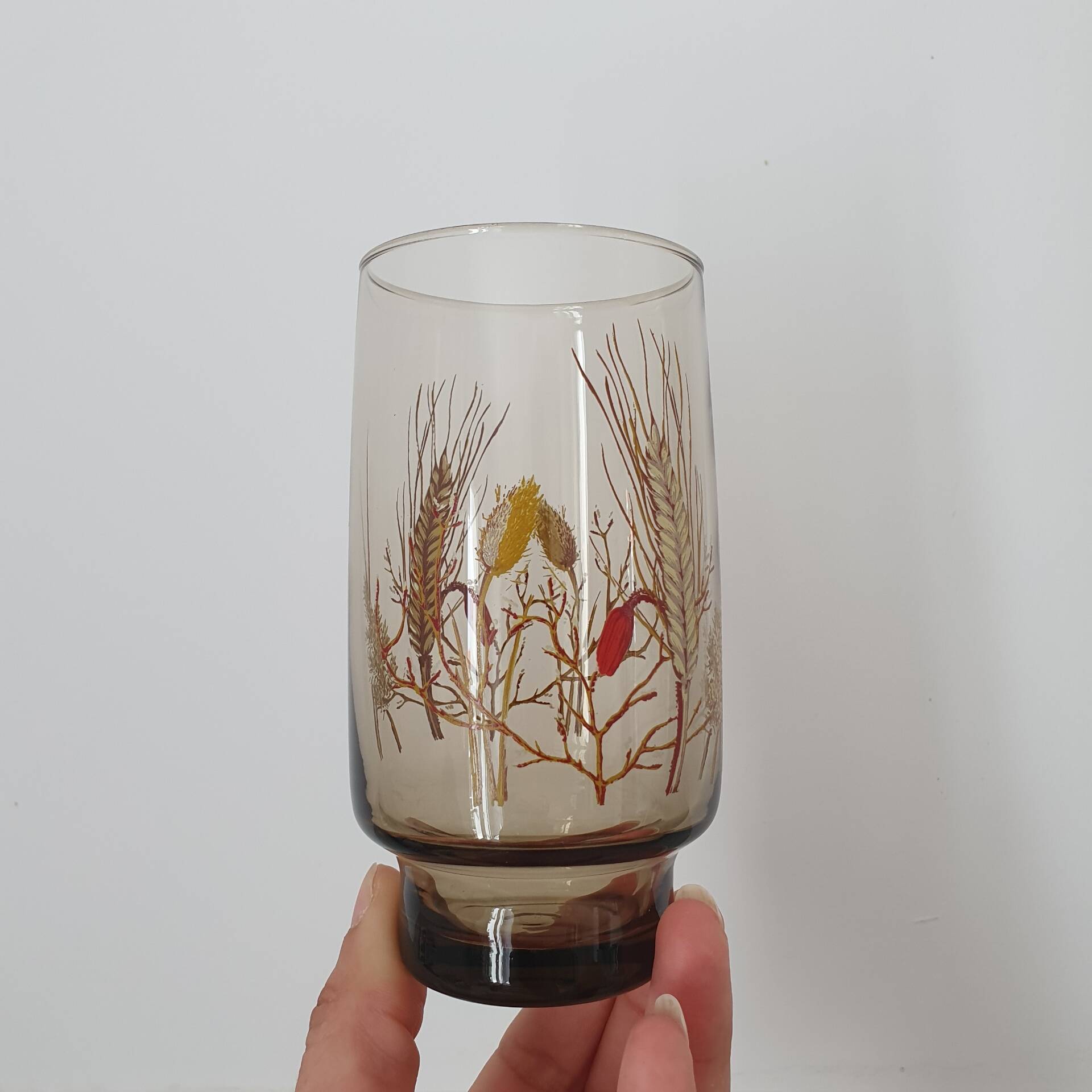 6 large smoked brown glasses