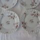 8 flat plates Haviland 426112 Sylvie flowers small roses Limoges