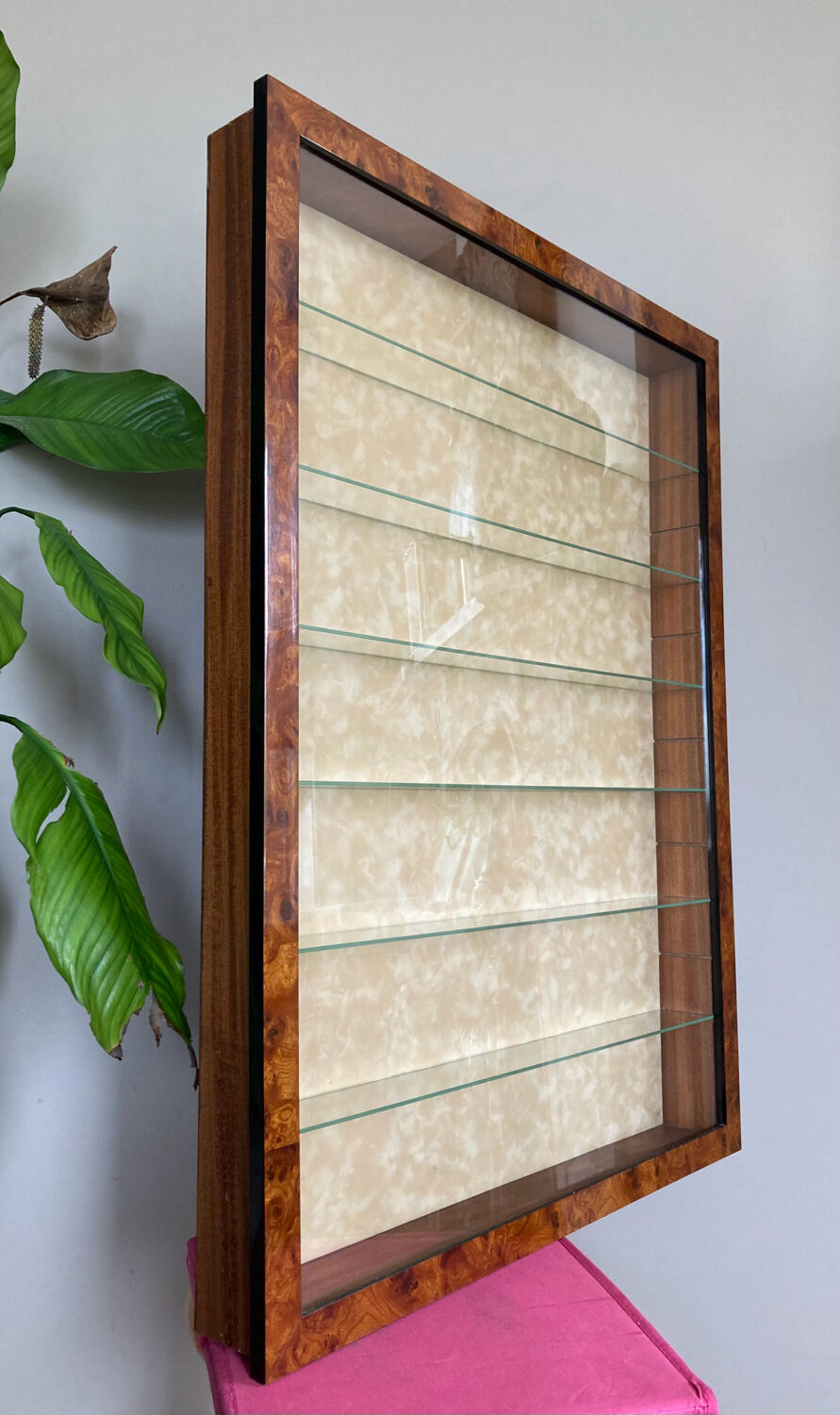 Peli-folies wall showcase in real elm magnifying glass, french manufacture (available)