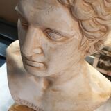 Mythological bust patinated plaster