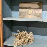 Glass cabinet-library-dish cupboard