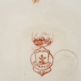 Compotier longwy Botanique