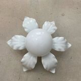 Flower wall light ceiling light