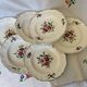 6 old soup plates, Sarreguemines, Amazona model, 1910