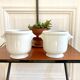 Paire de cache pots porcelaine de Limoges