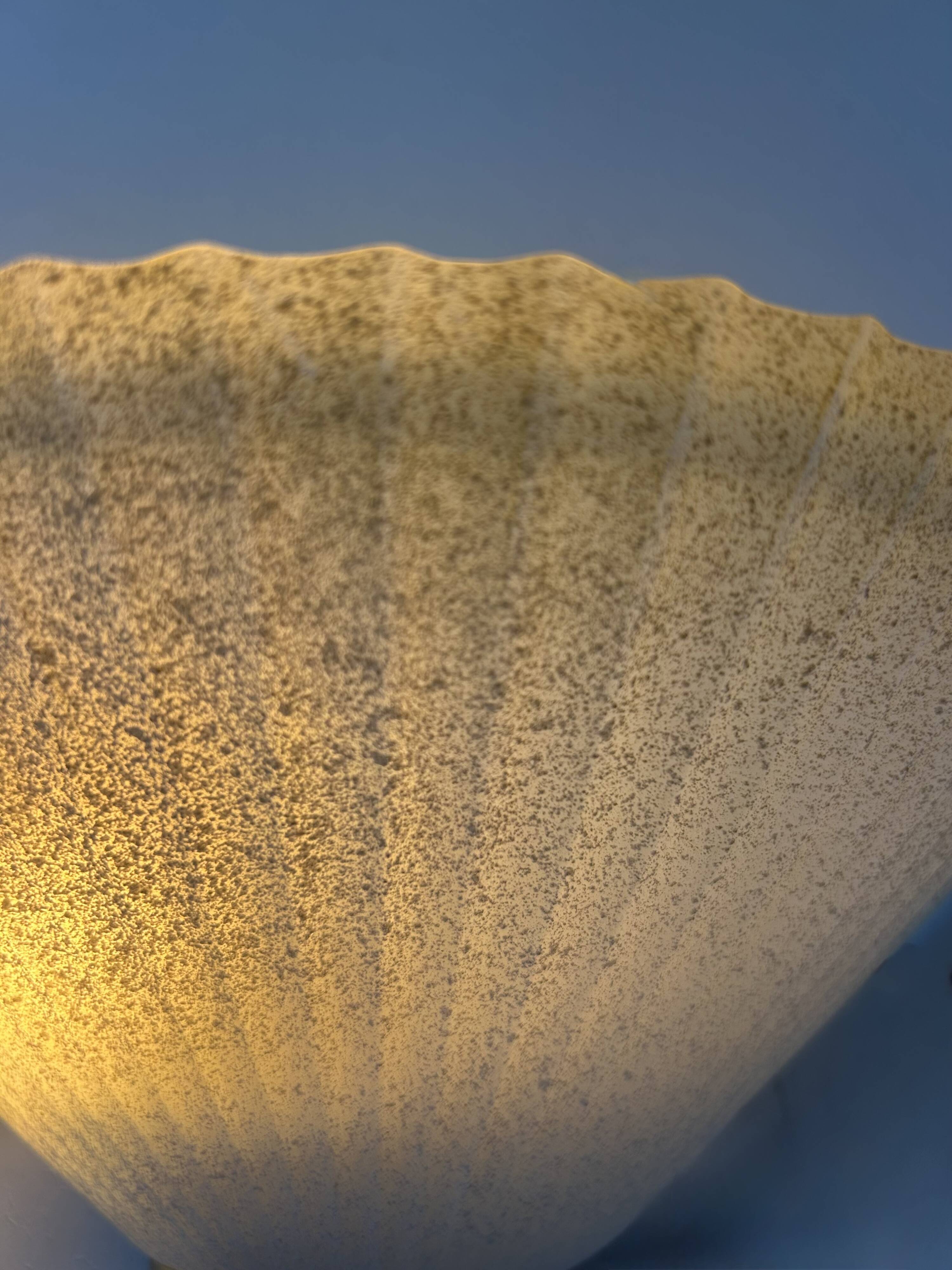 Paire d'appliques vintage coquillage, verre et laiton, France, 1970