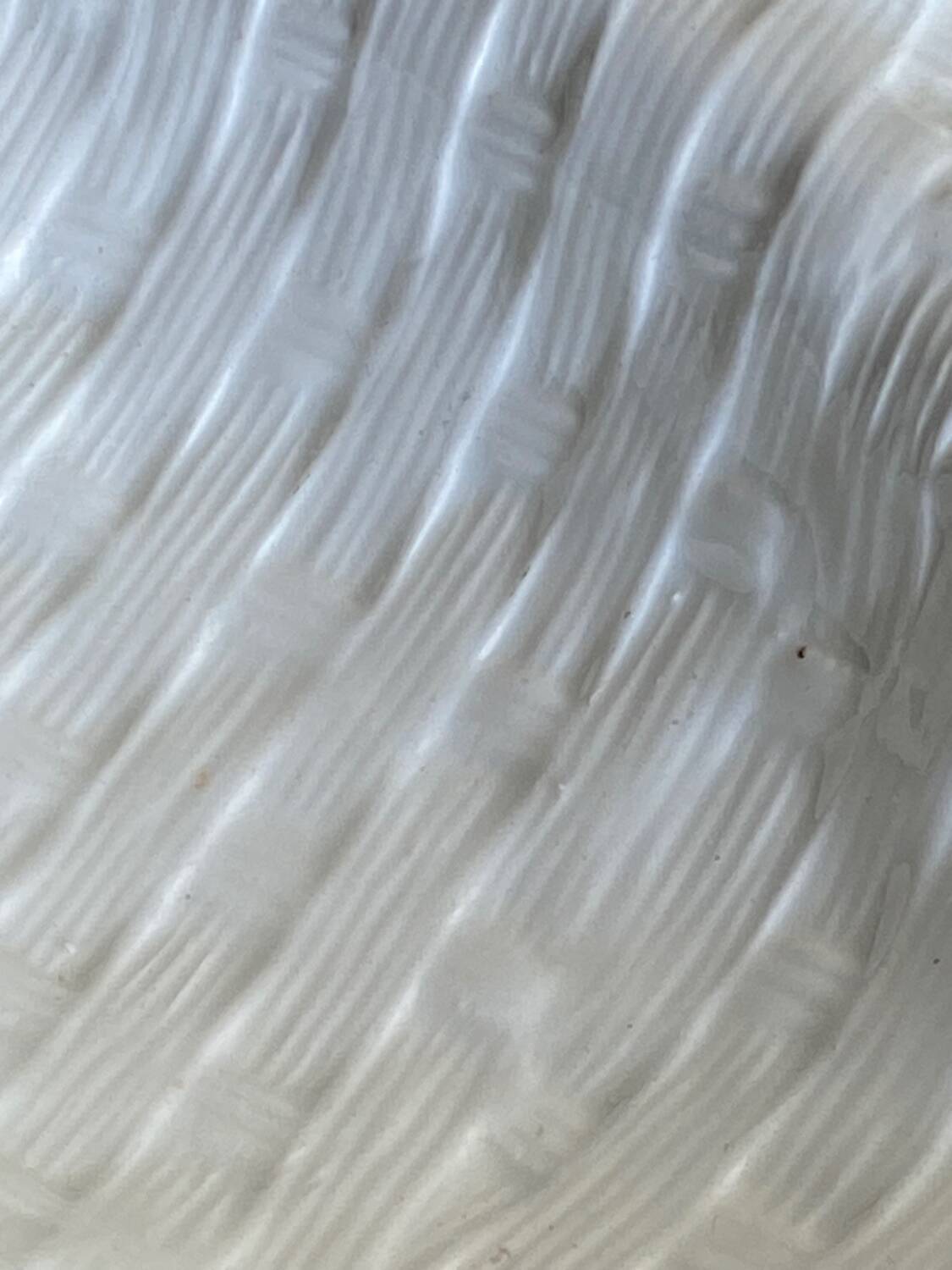 Ceramic compartmentalized leaf appetizer dish