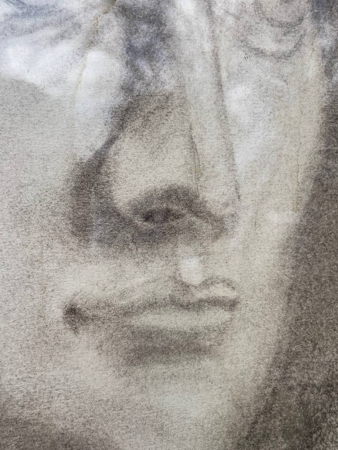 Pencil drawing of a bust