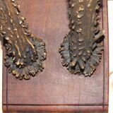 Hunting trophy, deer antler