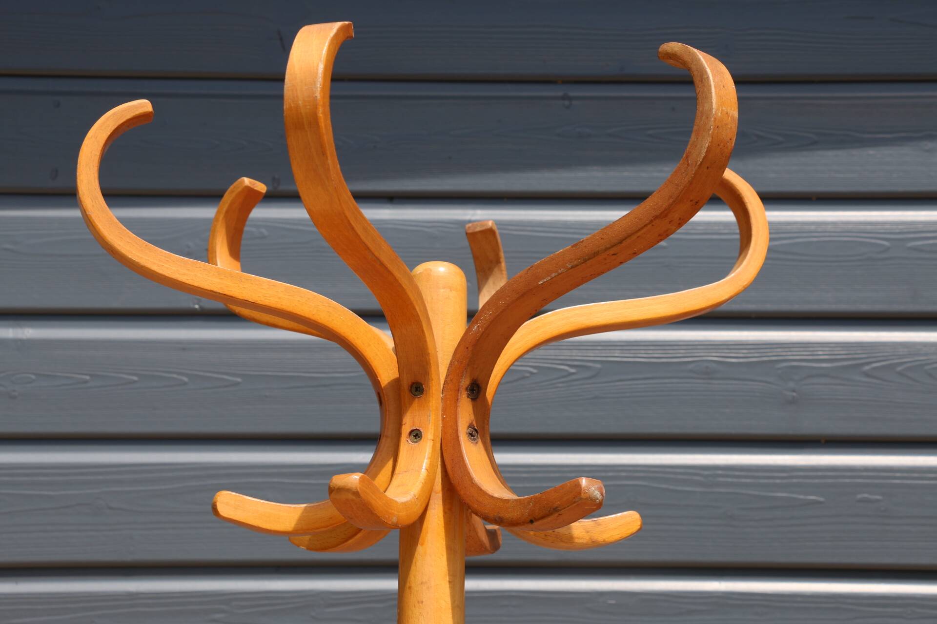 BAUMANN parrot coat rack, simple, light beech