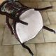Fauteuil voltaire authentique 19ème
