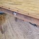 Farmhouse table