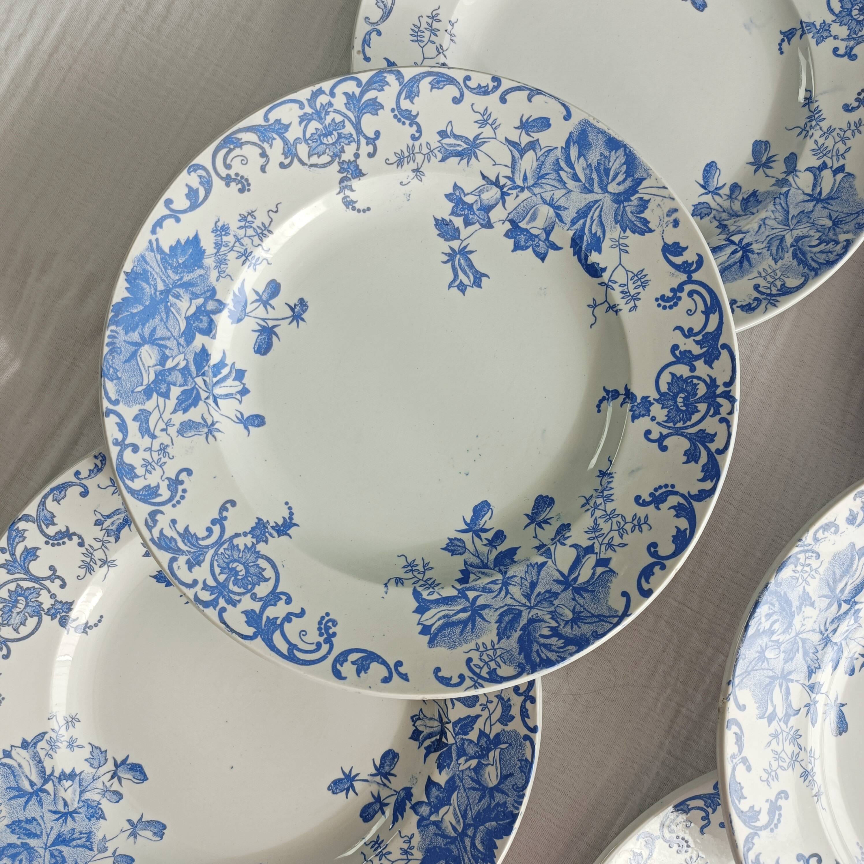 Lot de 6 assiettes semi-creuses terre de fer Saint Amand et Hamage, Campanule