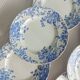 Lot de 6 assiettes semi-creuses terre de fer Saint Amand et Hamage, Campanule