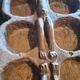 Véritable Awalé traditionnel en bois massif sculpté