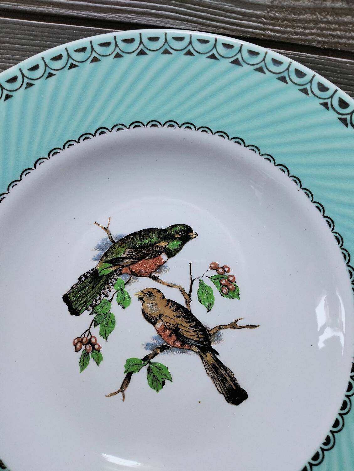 Lot de 6 assiettes oiseaux