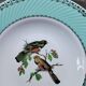 Lot de 6 assiettes oiseaux