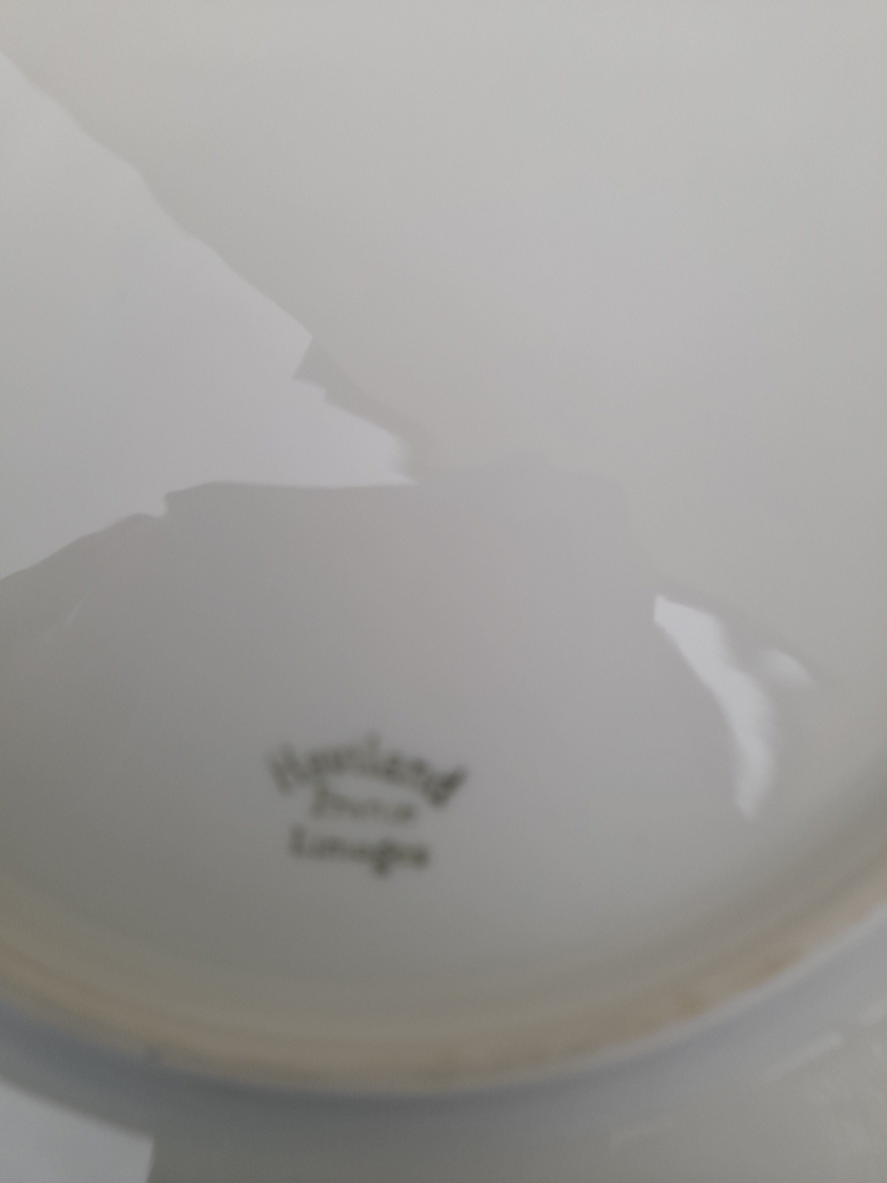 2 dessert plates in Limoges Haviland porcelain diam 19 cm