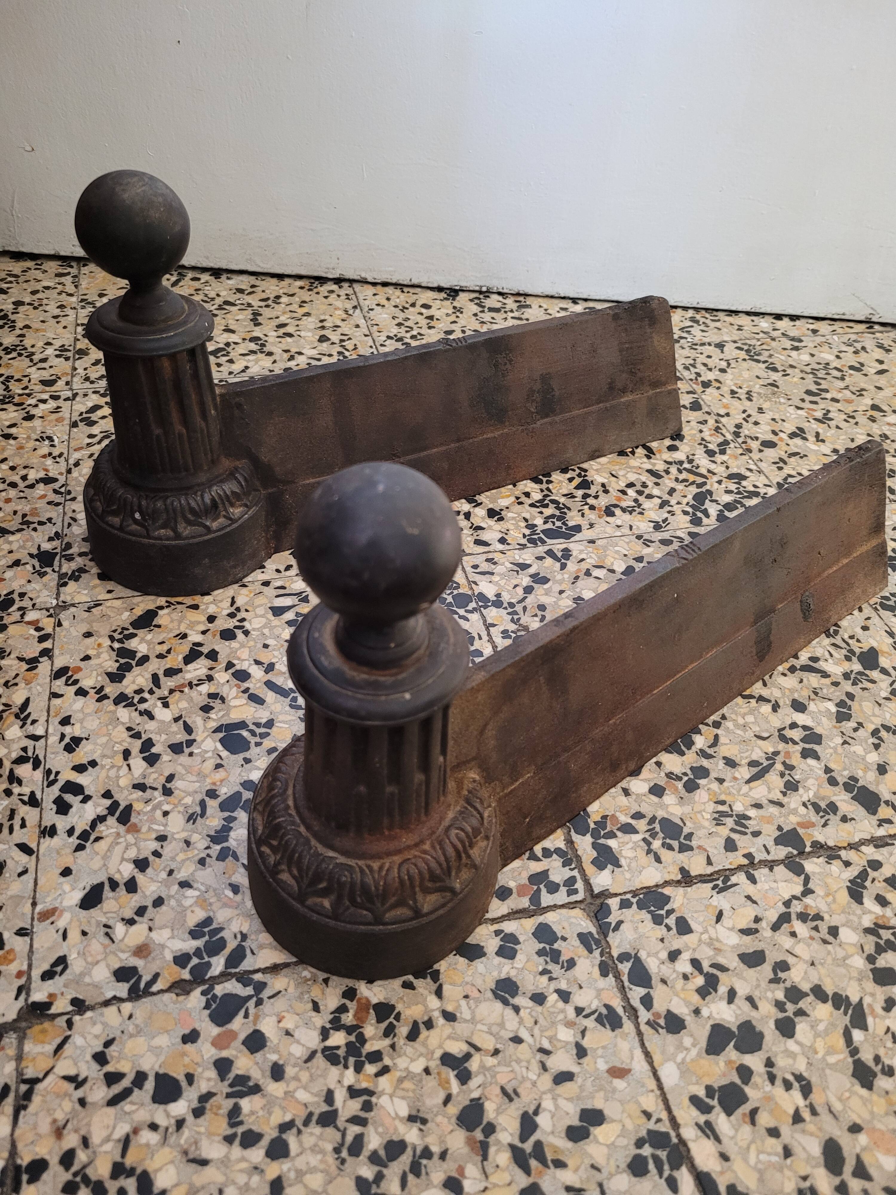 Beautiful pair of caterpillars