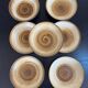 Longchamp 42-piece stoneware plate set