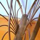 Brass magazine rack 60s
