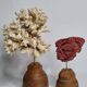 Set of two antique corals on turned wooden base, 20 cm