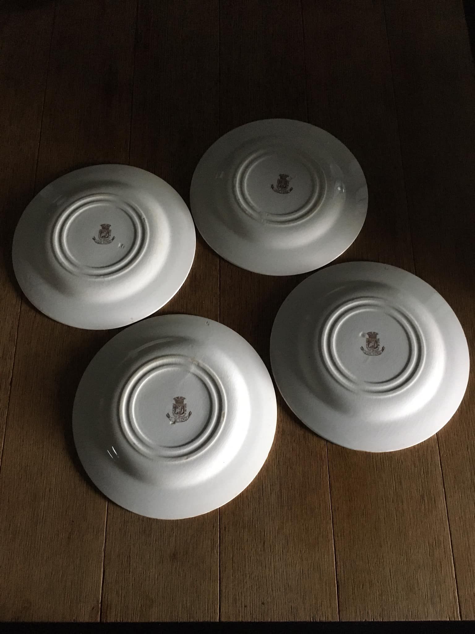 4 Flat plates in opaque porcelain from Gien "Virgin vine"