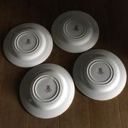 4 Flat plates in opaque porcelain from Gien "Virgin vine"
