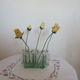 Lot de 5 flacons apothicaire en verre forme triangulaire