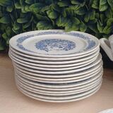 Set of 15 Wembley brand flat plates