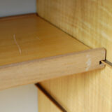 Vintage buffet by Cees Braakman for Pastoe 1960s