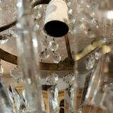 Grape variety chandelier