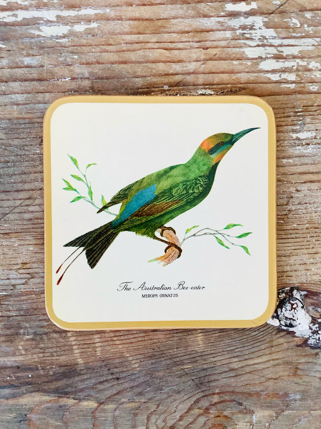 Box of 6 coasters bird motif