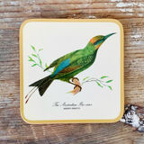 Box of 6 coasters bird motif