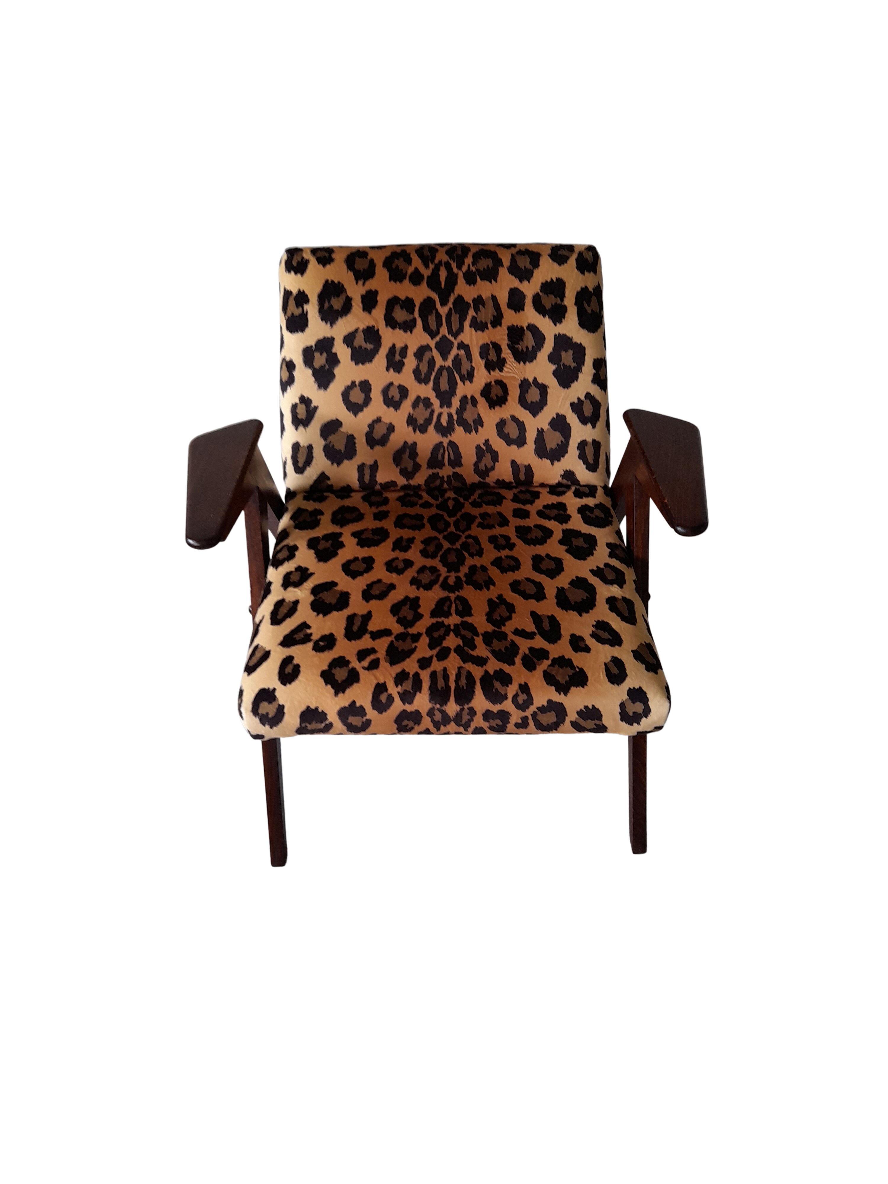 Leopard print velvet bunny armchair from dolnośląskie fabryki mebli, 1960