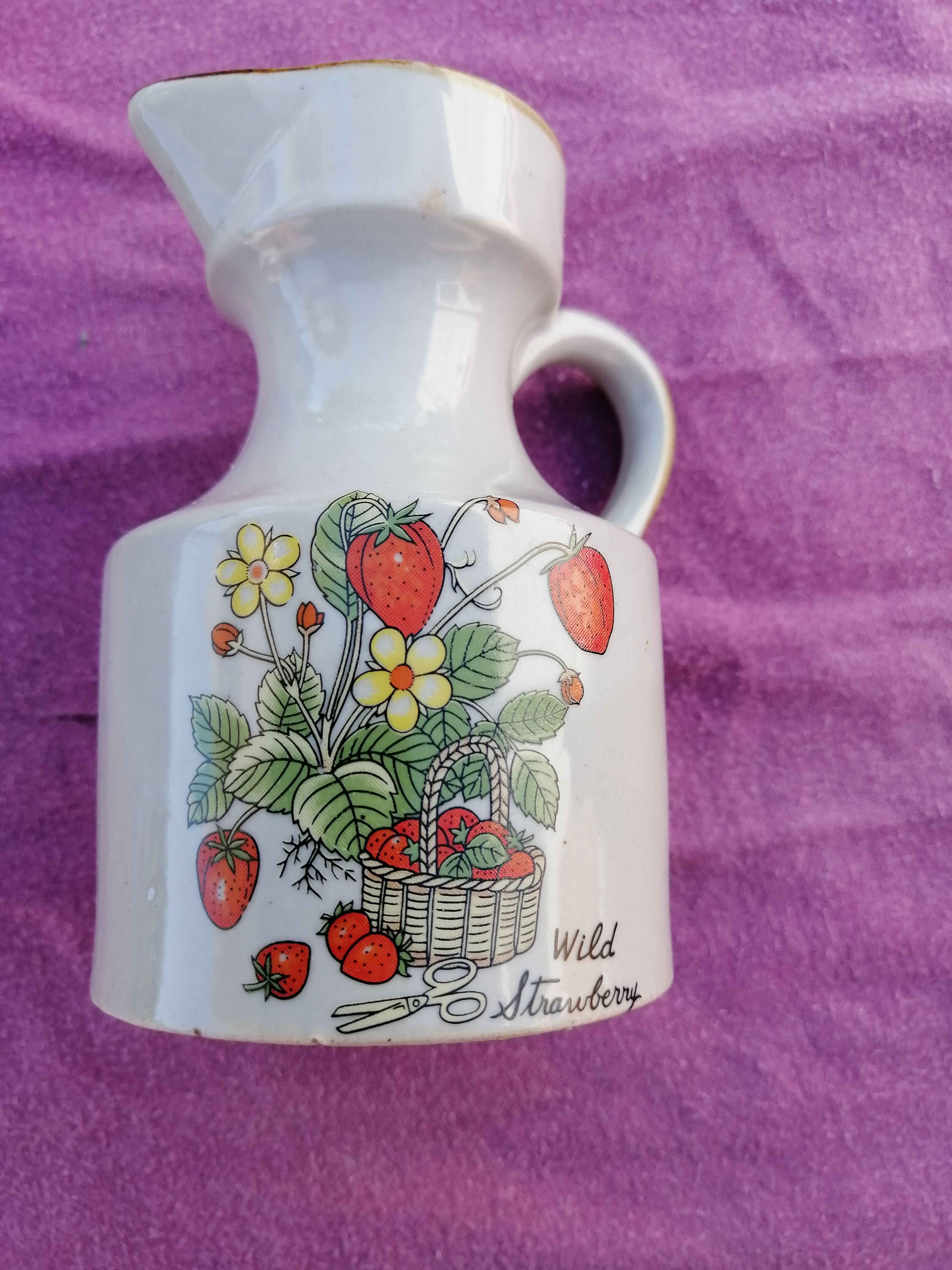 Set oil vinegar salt pepper mustard in ceramic