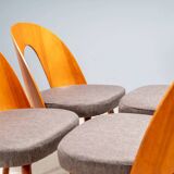Chaises de salle à manger Antonín Šuman, Tatra Nábytok, Tchécoslovaquie années 1960.