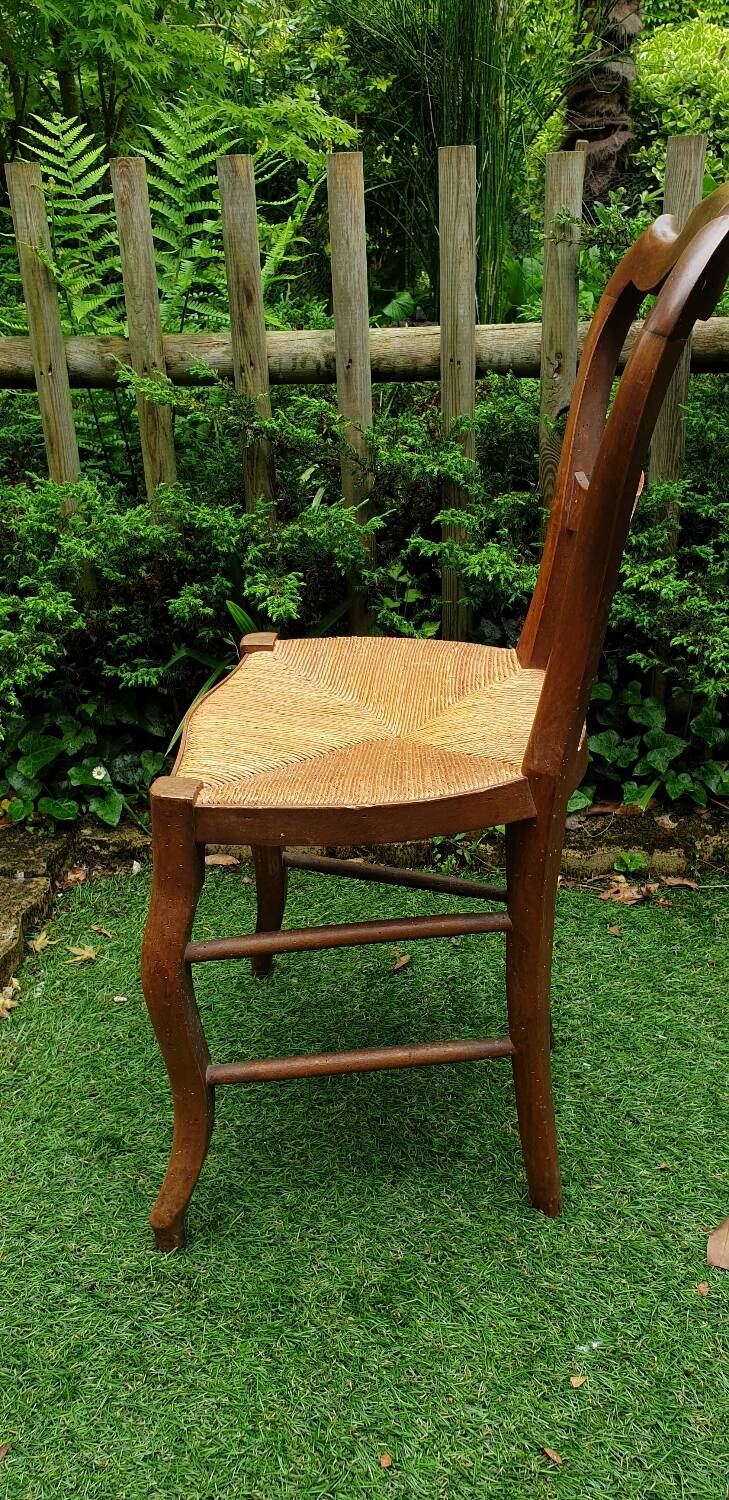 Louis Philippe chair in cherry wood circa 1900