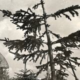 Photographie tirage argentique noir et blanc cira 1970 chaumière campagne