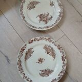 2 old Terre de fer flat plates