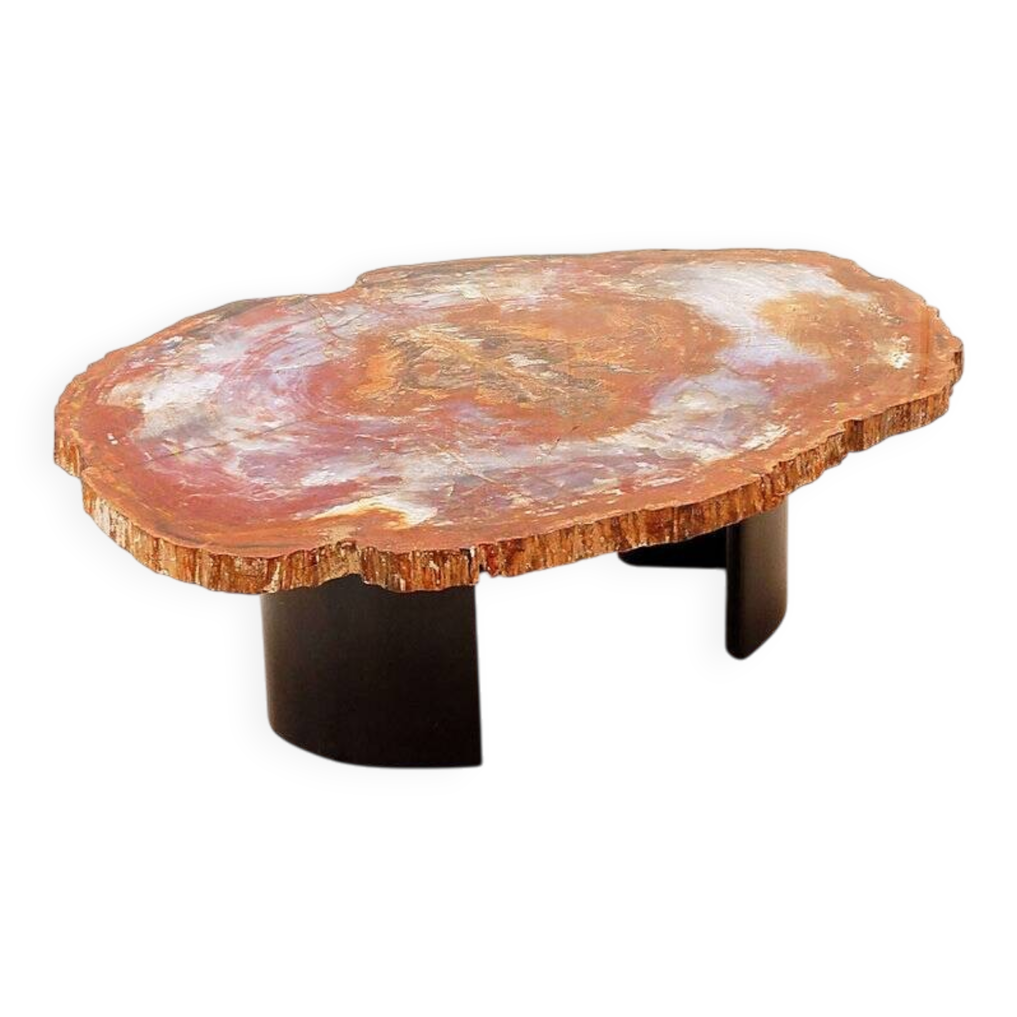 Red petrified wood coffee table from Arizona: 114x88cm