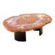 Red petrified wood coffee table from Arizona: 114x88cm