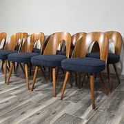 Chaises de salle à manger par Antonin Suman, années 1960, lot de 10