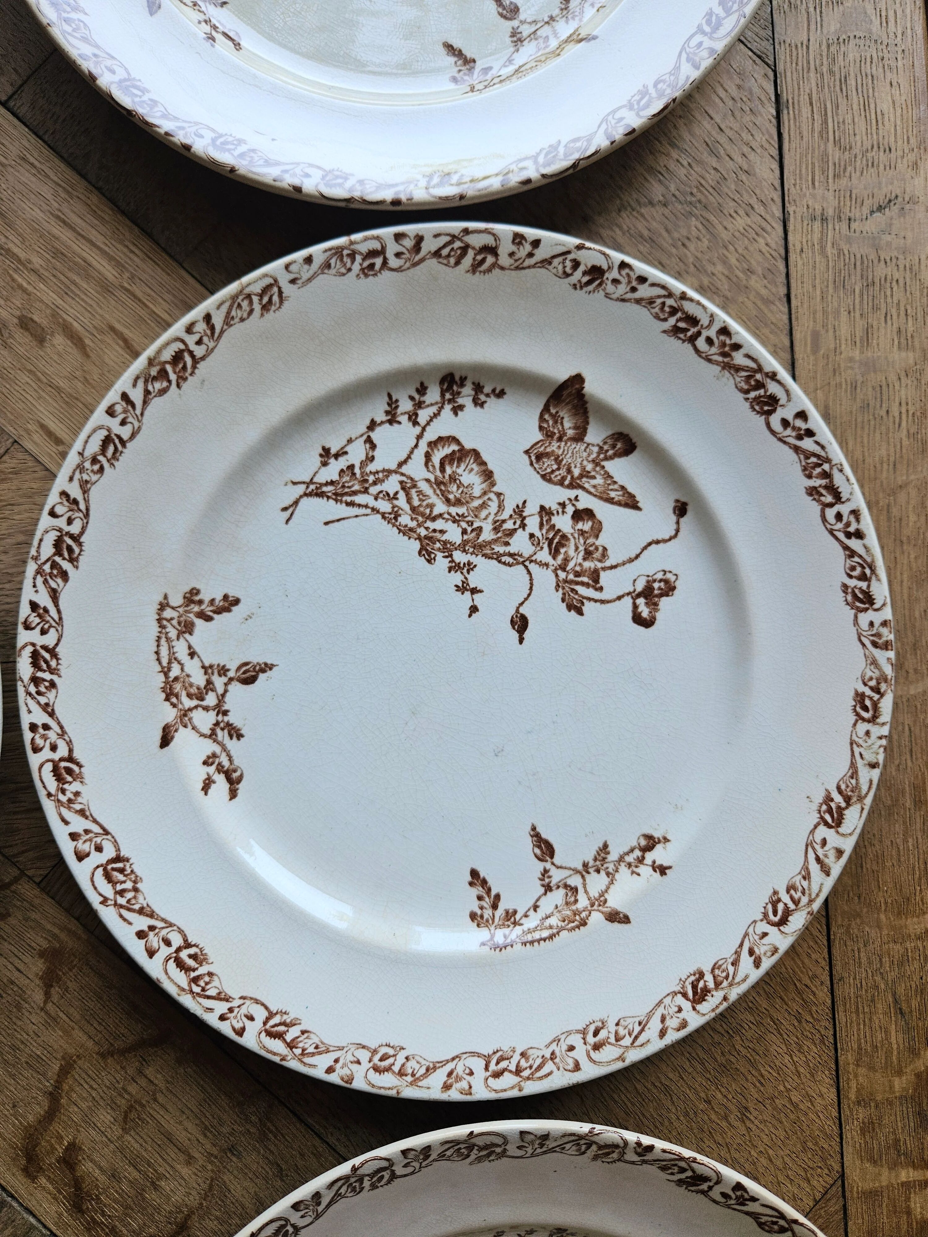 Flat plates, ironstone, poppies