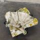 Elephant ear jardinière or Handkerchief, 1950s by Willy Guhl