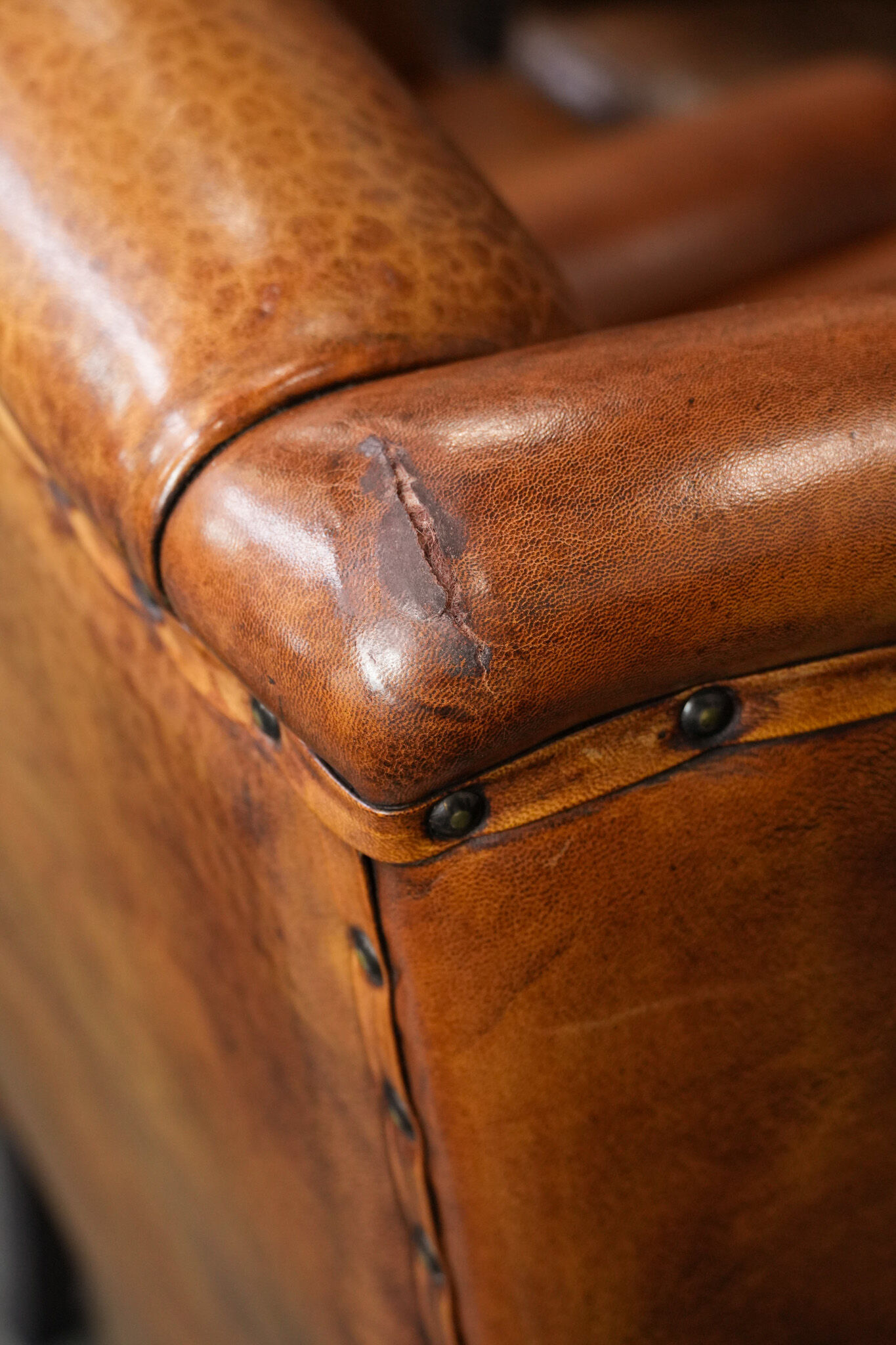 Wingback chair made of sheep leather with black piping in good condition