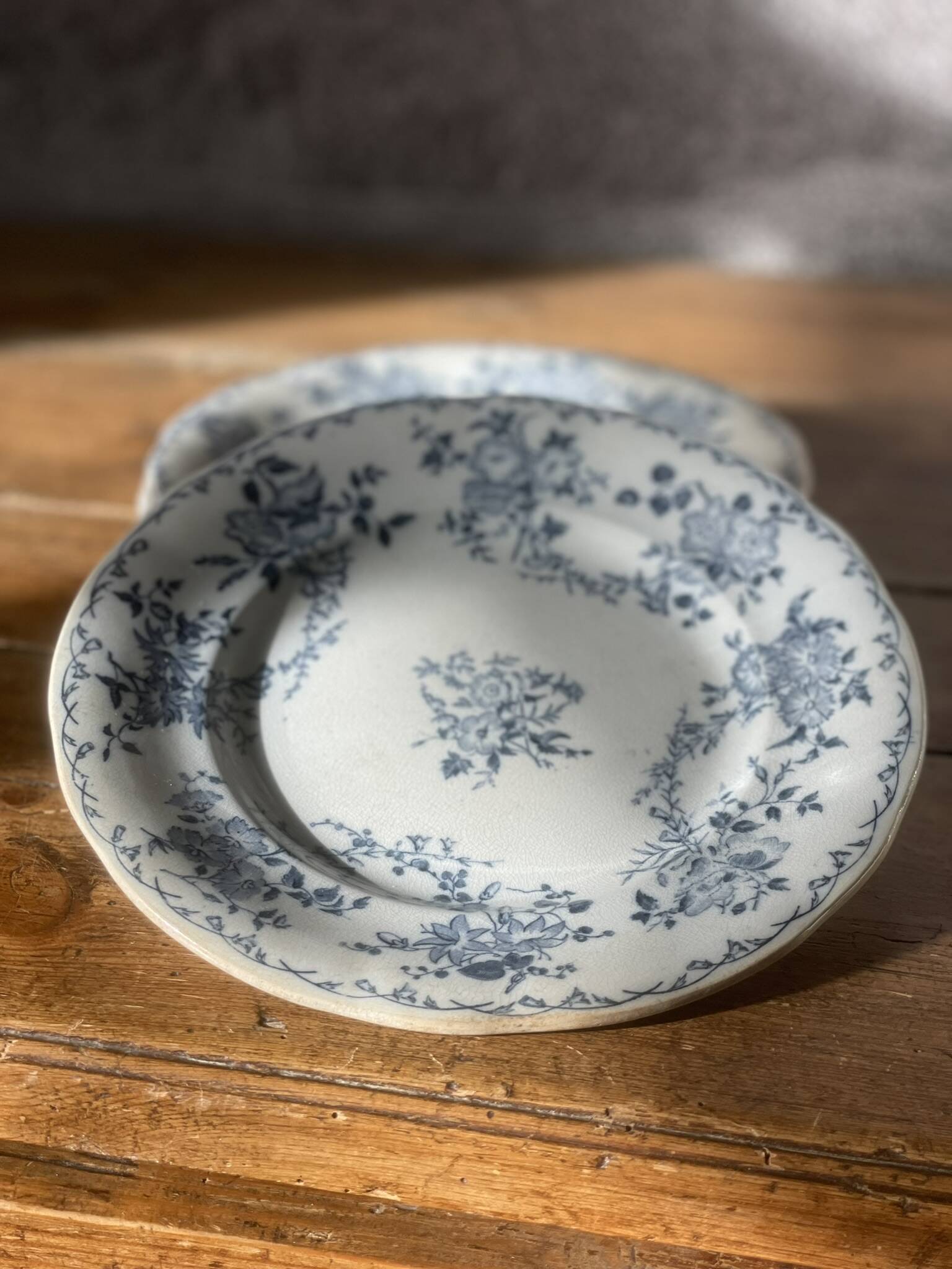 Lot de 4 assiettes plates Bertha Sarreguemines