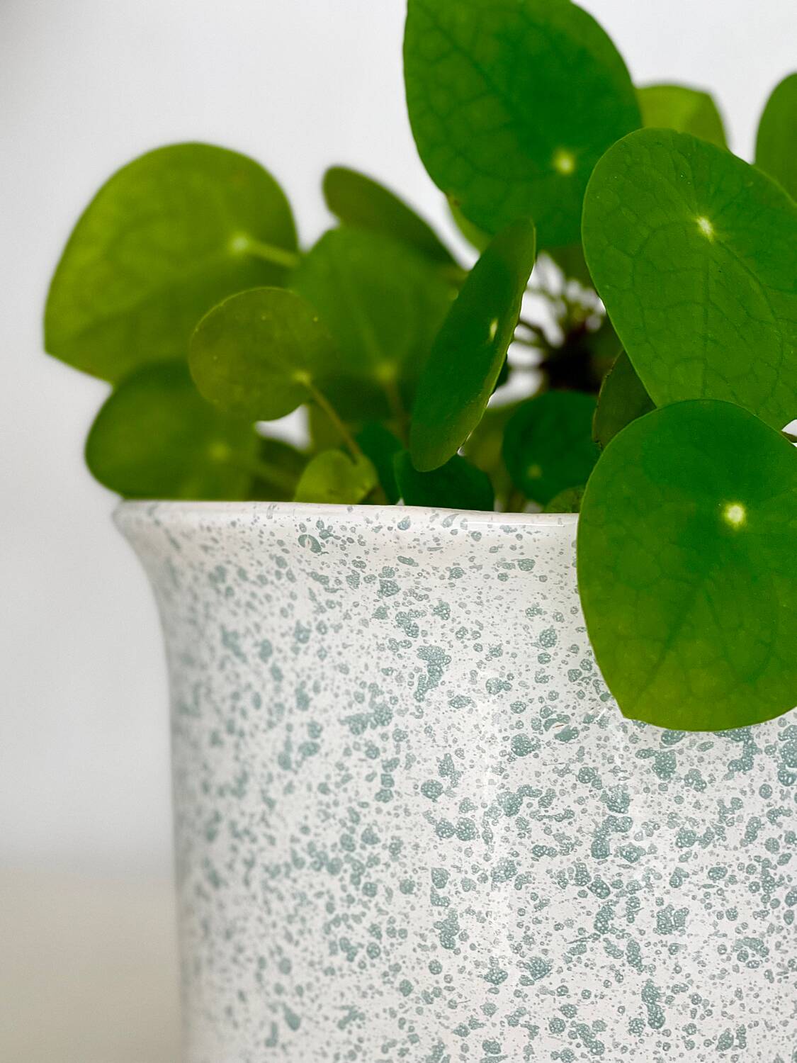 Speckled ceramic planter